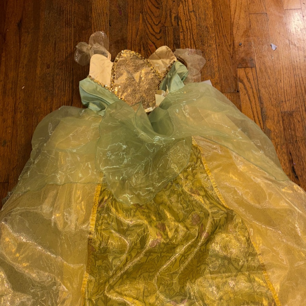 Disney princess & the frog Tiana costume dress
